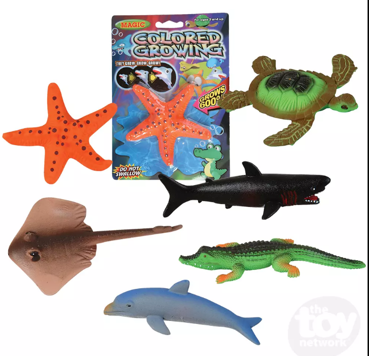 Toy Network 6 Sea Animal Magic Grow RG Natural Babies and Toys
