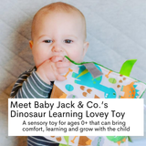 Dinosaur Learning Lovey Crinkle Tag Sensory Toy 8"x8"