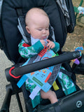 Chicago IL Windy City Baby Learning Crinkle Tag Squares