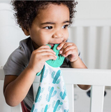 Munch It Blanket: Rosie Posie