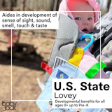 Illinois Toy Teaches State Facts Crinkle Tag Square 8"x 8"