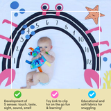 Ocean Fish Crinkle Tag Square 8x8 Baby Teach @ Home Toy