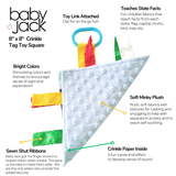 Florida Toy Teaches State Facts Crinkle Tag Square 8"x 8"