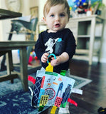 Chicago IL Windy City Baby Learning Crinkle Tag Squares