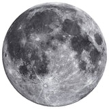 The Moon - 1000 Piece Round Puzzle
