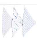 Aden + Anais - Muslin Large Washcloth Set