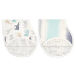 Aden + Anais silky soft burpy bibs - Expedition