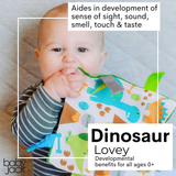 Dinosaur Learning Lovey Crinkle Tag Sensory Toy 8"x8"