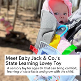 Michigan State Baby Learning Crinkle Tag Square 8"x 8" Toy