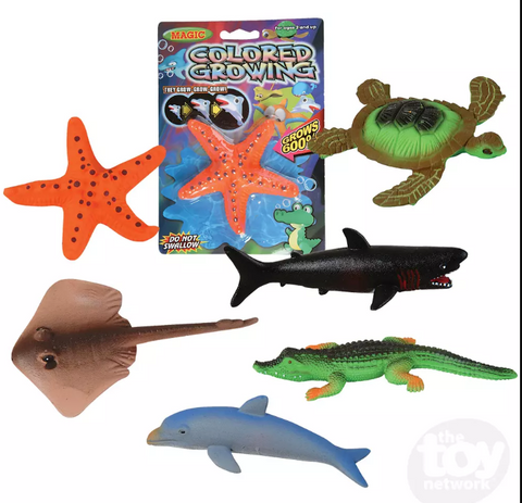 Toy Network - 6” Sea Animal Magic Grow