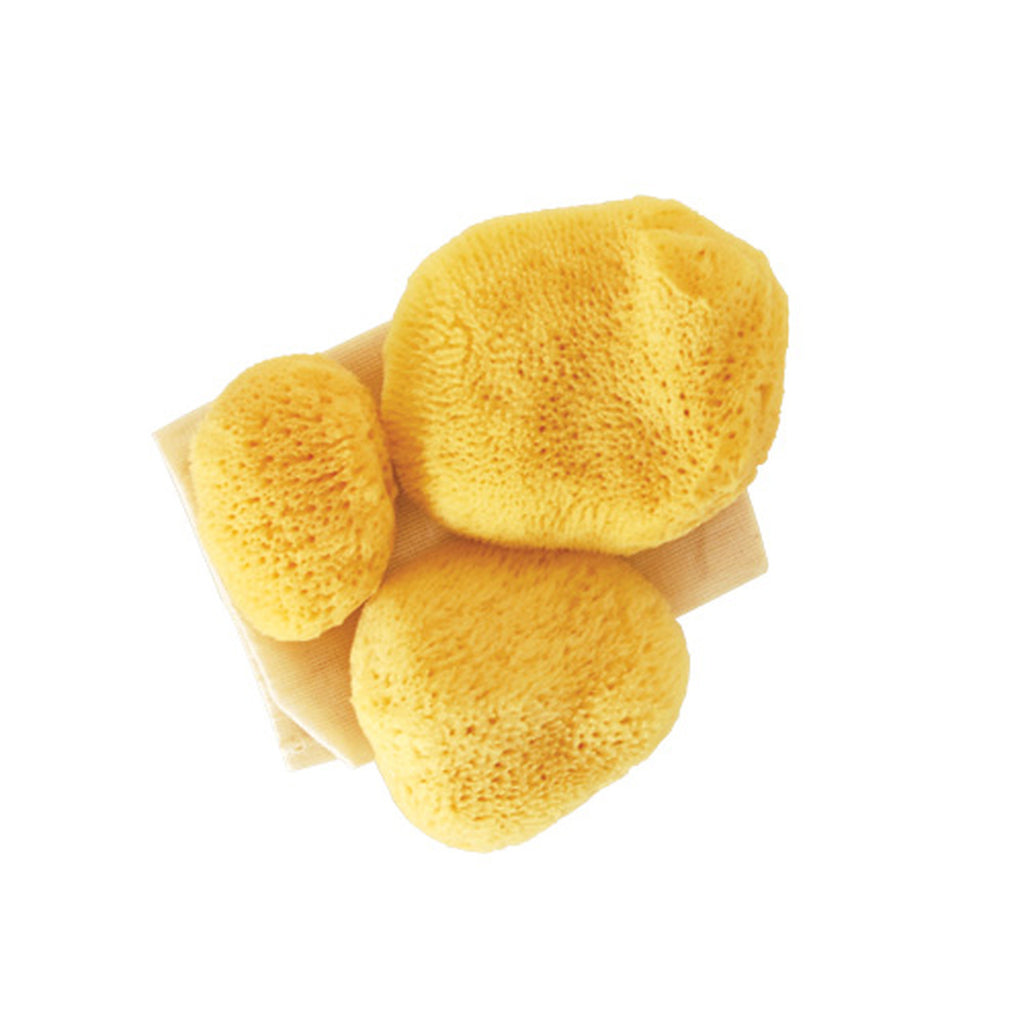 Everything you need to know about period sponges – PeriodShop