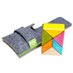 Tegu Pocket Pouch: Prism